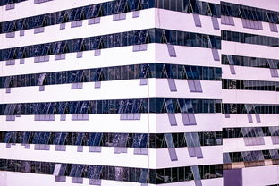 米兰体育报-体育赛事风险管控体系建设，体育赛事风险防范